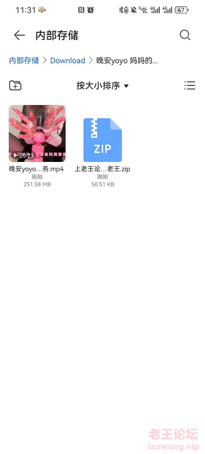 Screenshot_20241212_233028_com.tencent.mtt.jpg