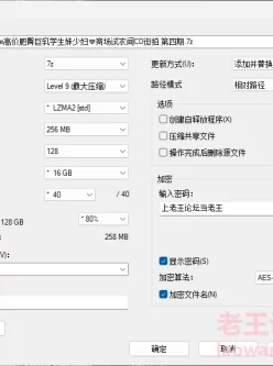 [自行打包] Pcolle 日本商场试衣间CD街拍 第四期 [23V+26.3G][百度盘]